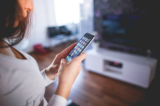 WhatsApp官网下载：安全、快速、无广告的用户体验 - WhatsApp中文版-WhatsApp中文版