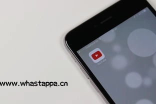 WhatsAppvs微信：哪个更适合你？，whatsapp与微信哪个好用 - WhatsApp中文版-WhatsApp中文版