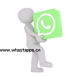 丰富表情包，让WhatsApp聊天更有趣，whatsapp的表情在哪里可以找到 - WhatsApp中文版-WhatsApp中文版