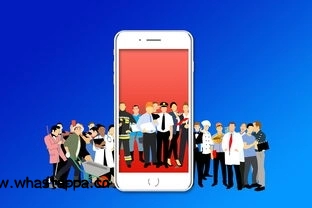 你不知道的WhatsApp聊天小细节，whatsapp聊天收费吗 - WhatsApp中文版-WhatsApp中文版