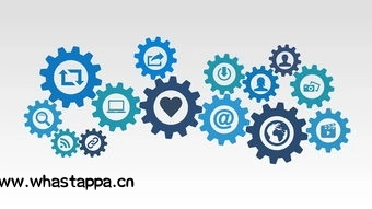 WhatsApp小技巧，让你成为聊天高手 - WhatsApp中文版-WhatsApp中文版