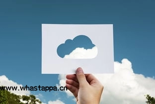 WhatsApp新版本功能全盘点，whatsapp update 2021 - WhatsApp中文版-WhatsApp中文版