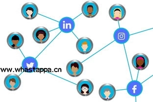WhatsApp状态更新，让朋友更了解你，whatsapp更新后需要重新登录吗 - WhatsApp中文版-WhatsApp中文版