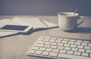 已读功能，让你掌握对方反馈的每一瞬间，已读设置 - WhatsApp中文版-WhatsApp中文版