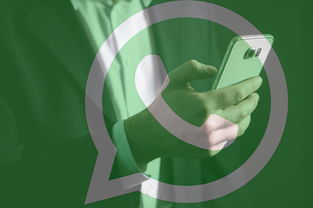 如何轻松下载WhatsApp安卓版，让沟通更畅快 - WhatsApp中文版-WhatsApp中文版