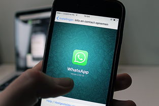 WhatsApp养号账号防封攻略：如何在不触犯政策的情况下逐步恢复账号 - WhatsApp中文版-WhatsApp中文版