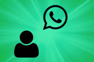WhatsApp中文版官方网下载——轻松沟通，畅享生活！ - WhatsApp中文版-WhatsApp中文版