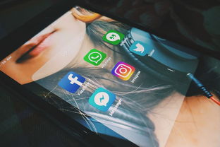 WhatsApp如何避免被封号：实用技巧分享 - WhatsApp中文版-WhatsApp中文版